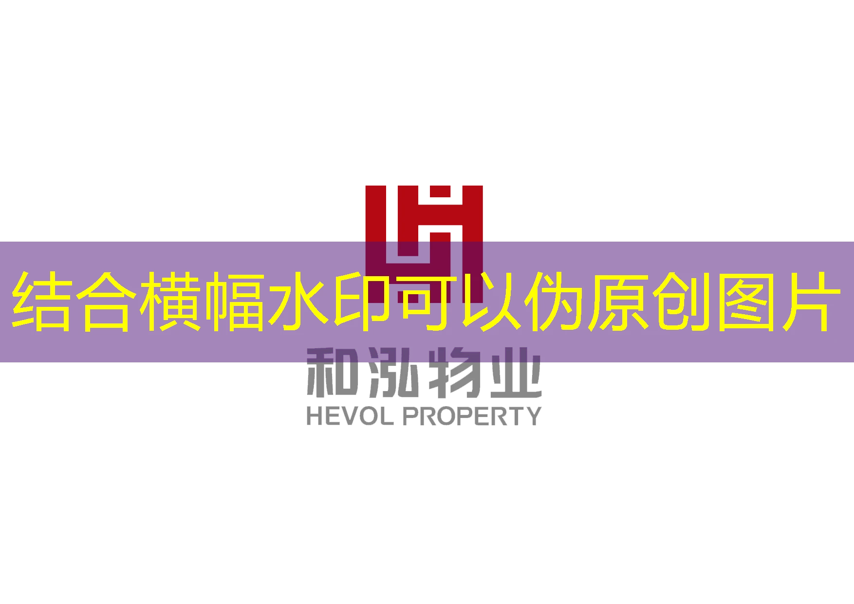 蓝图代理-注册申请：开启您的跨境电商之旅