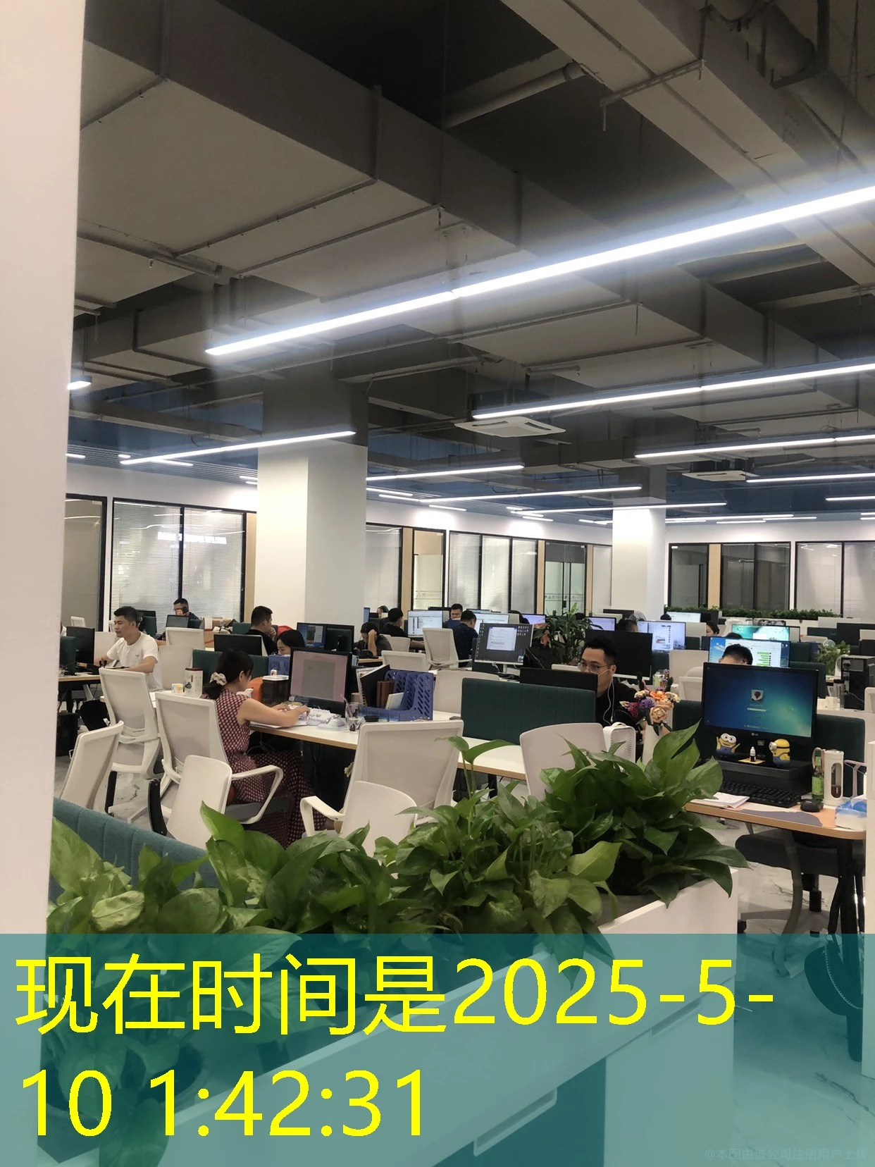 蓝图娱乐代理下线管理功能：优化运营效率的关键