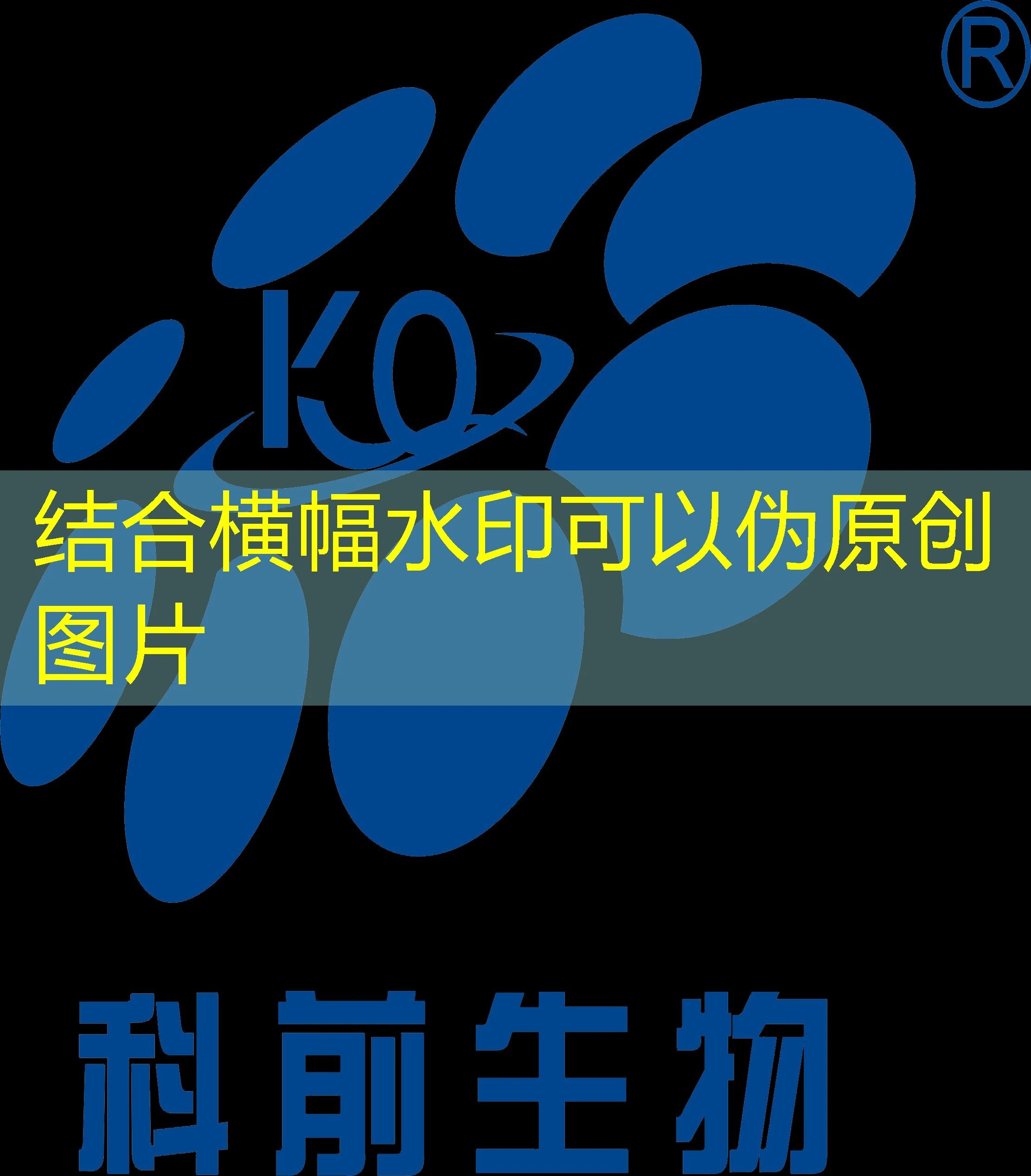 探索体育直播新体验:蓝图体育直播的全面解析 探索体育直播新体验:蓝图体育直播的全面解析
