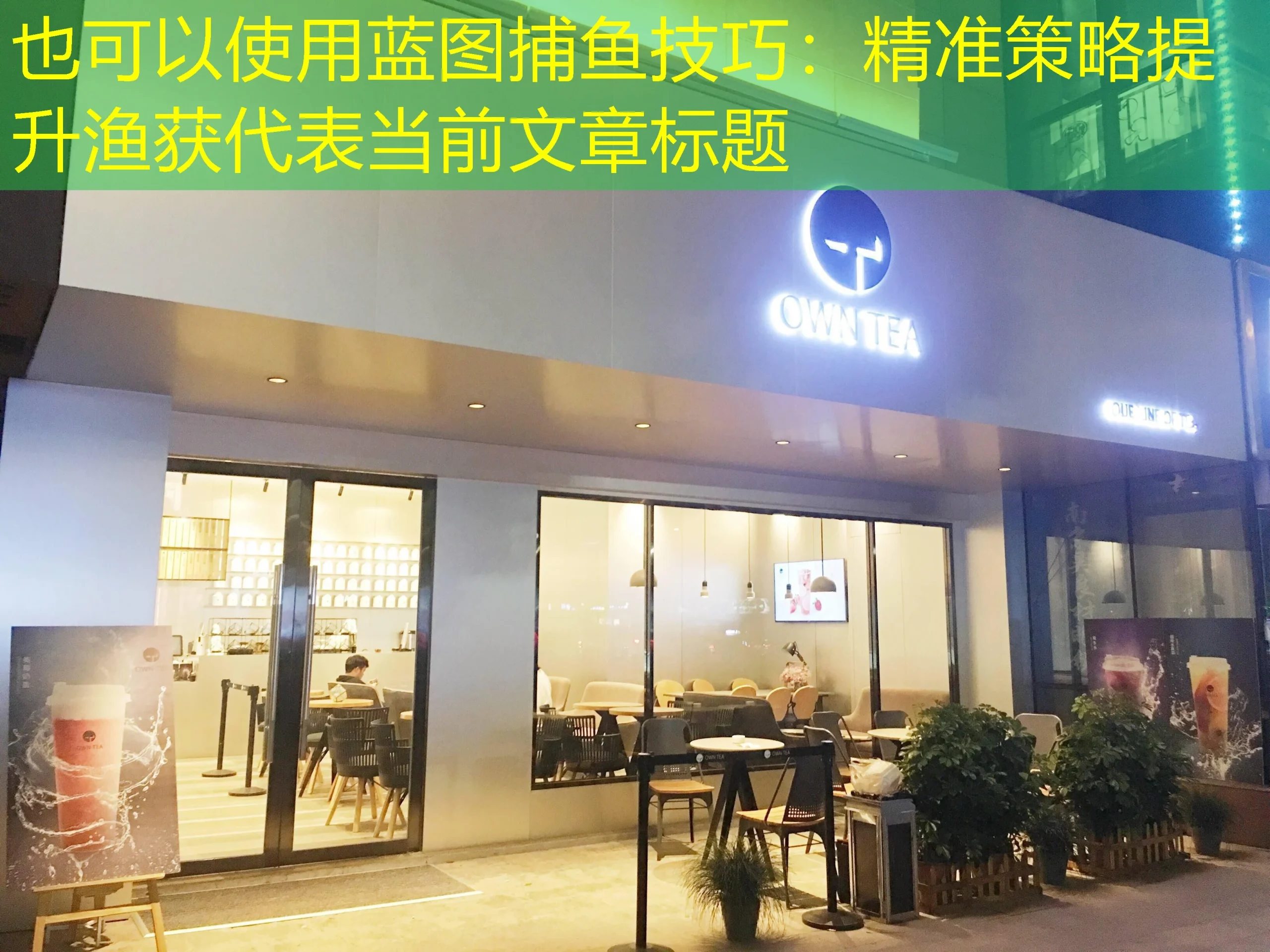 蓝图捕鱼技巧：精准策略提升渔获