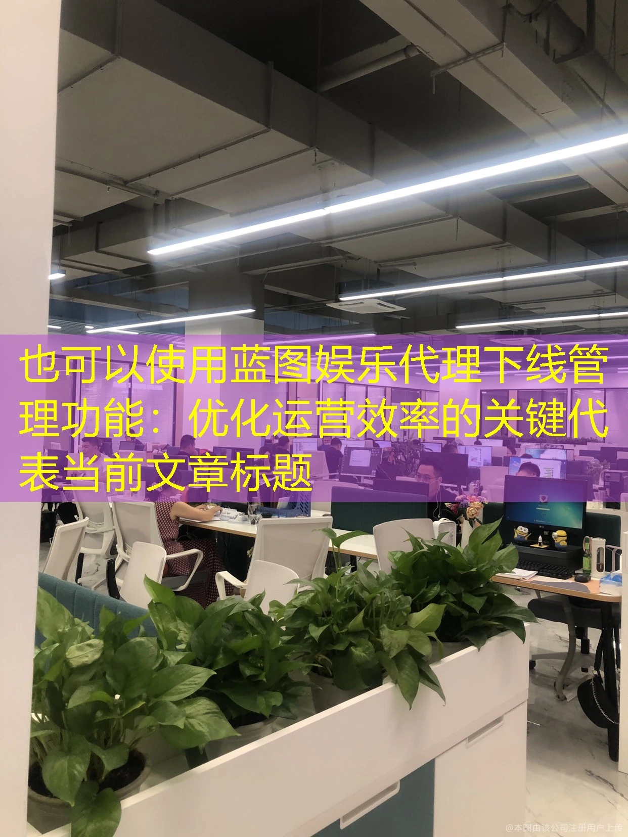 蓝图娱乐代理下线管理功能：优化运营效率的关键